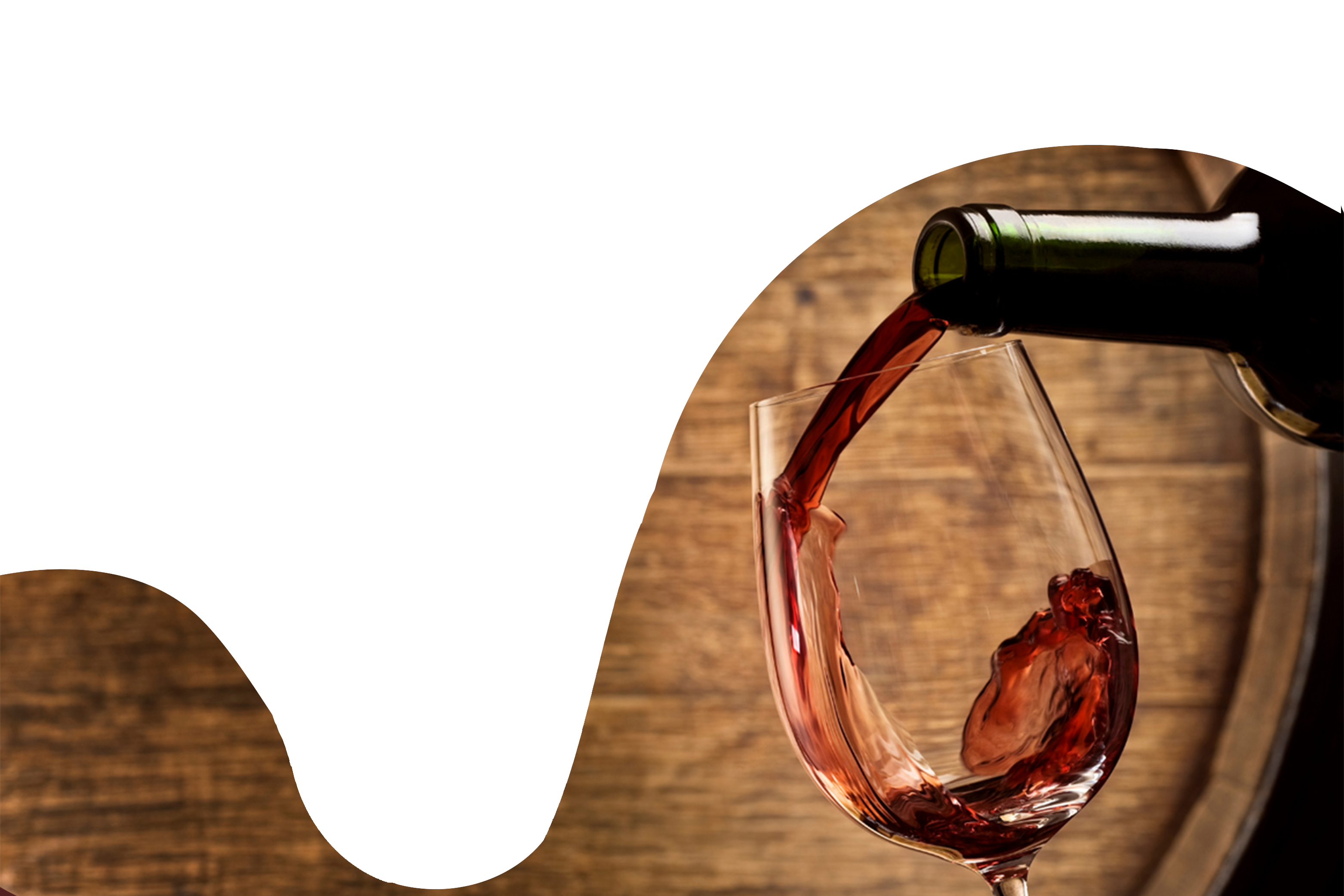 (1)bodegas-viejo-antón