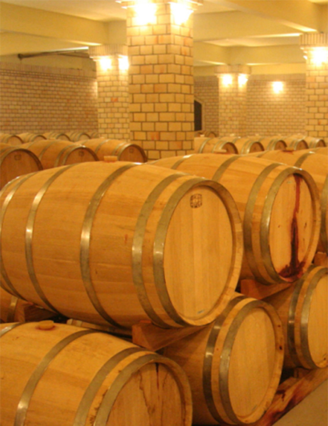 (2)bodegas-de-vino-en-gran-canaria